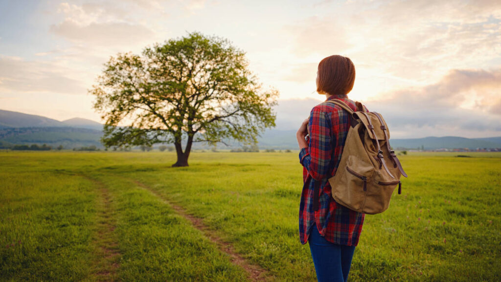 wat is contextuele therapie