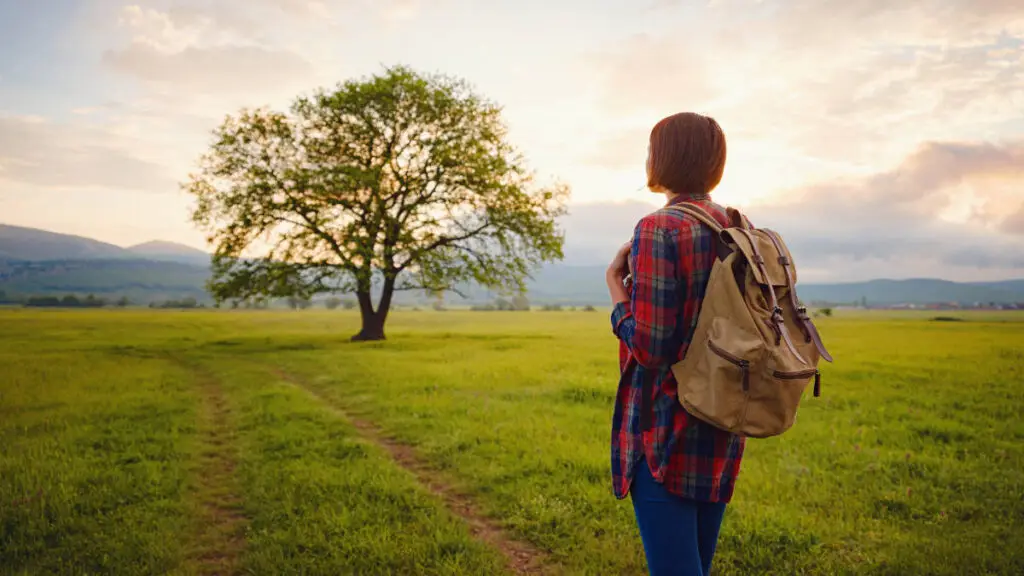 wat is contextuele therapie